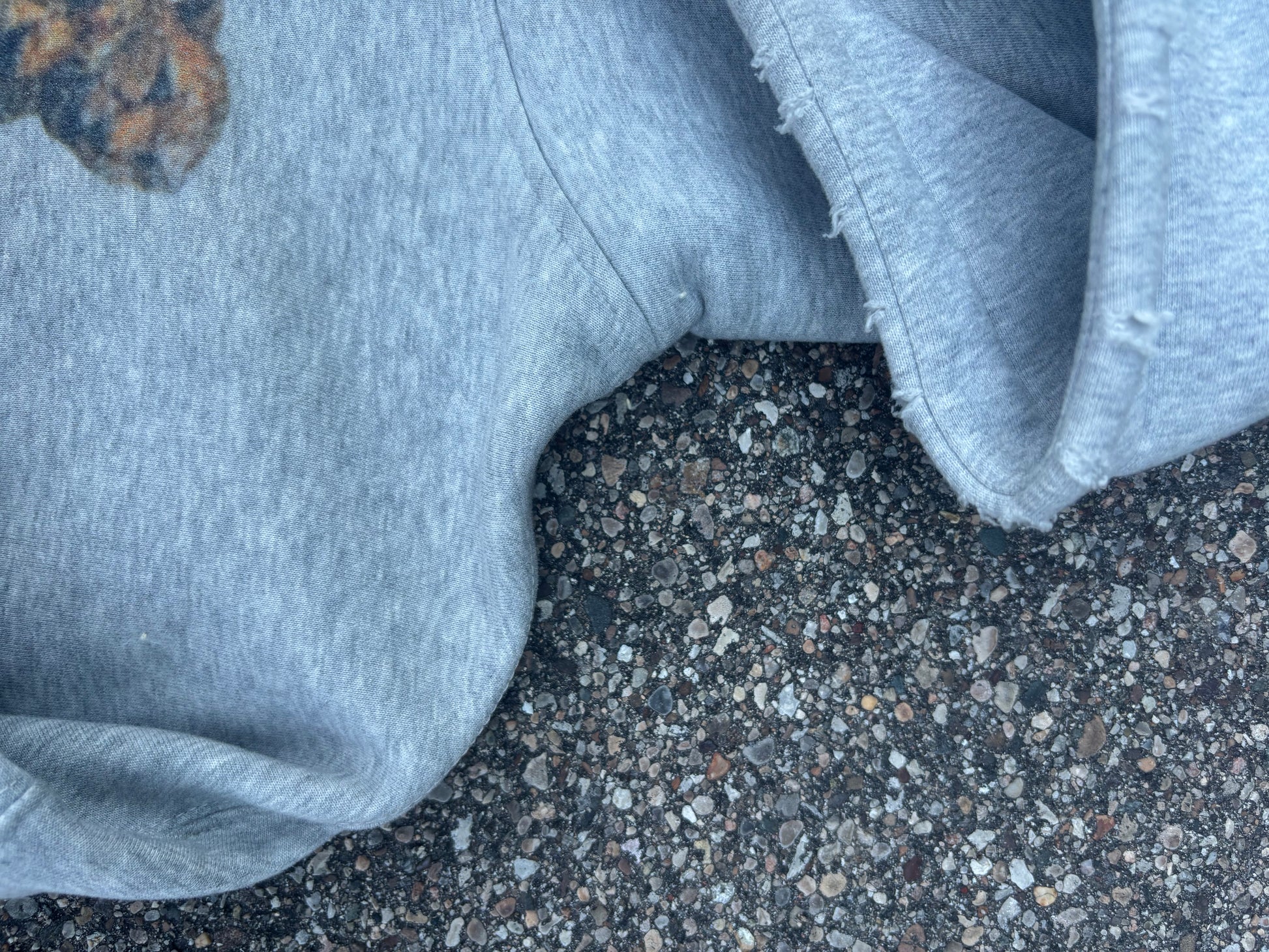 “War Cheetah” Hoodie